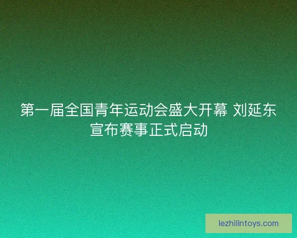 第一届全国青年运动会盛大开幕 刘延东宣布赛事正式启动